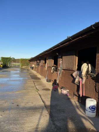 Image 1 of DIY stables and grazing available
