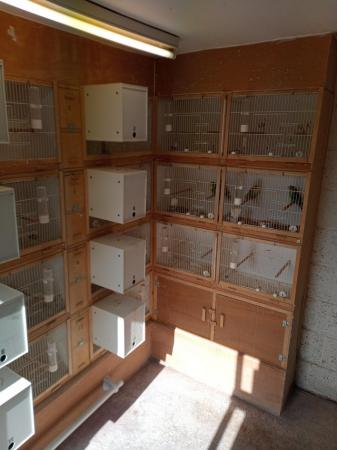 Image 1 of Budgie breeding cages for sale