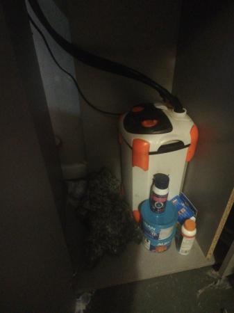 Image 5 of Fish tank unit and filter