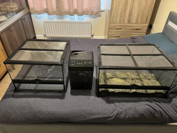 Image 3 of Vivariums and equipment for sale