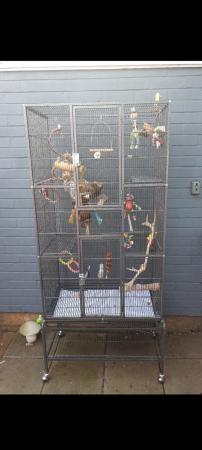 Image 2 of 175cm large bird / parrot / small animal cage on stand