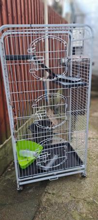 Image 1 of For sale Large animal cage