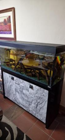 Image 2 of 4ft Fluval roma 240 aquarium for sale
