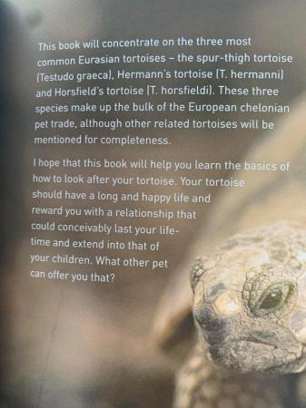 Image 4 of Tortoise Pet Expert book - new