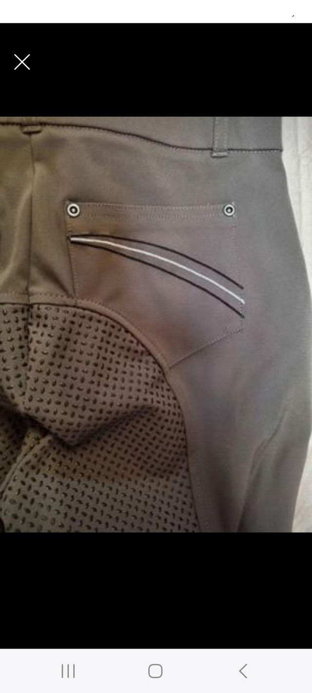 Preview of the first image of Lovely Harry Hall Breeches.