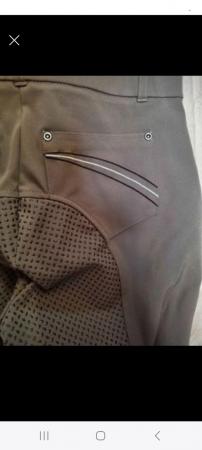 Image 1 of Lovely Harry Hall Breeches
