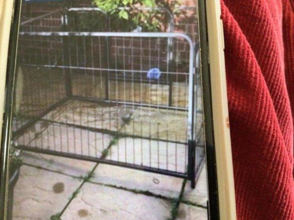 Image 2 of Metal cage for dogs/ puppies.
