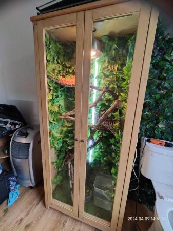 Image 2 of Arboreal Vivarium with everything included