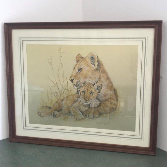 Preview of the first image of Vintage 1980s framed M Fennell metallic lioness & cub print..