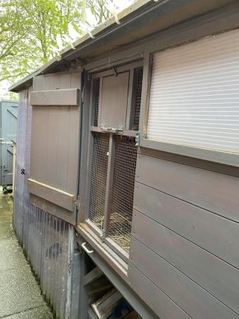 Image 4 of Pigeon loft and run plus accessories