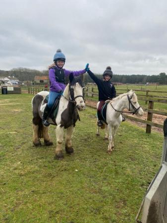 Image 2 of Nessa mother daughter share pony club