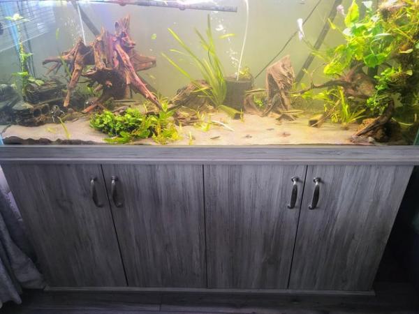 Image 4 of Fish Tank with Stand 5ft