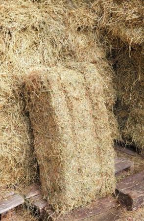 Image 2 of Hay for sale horse pony pet