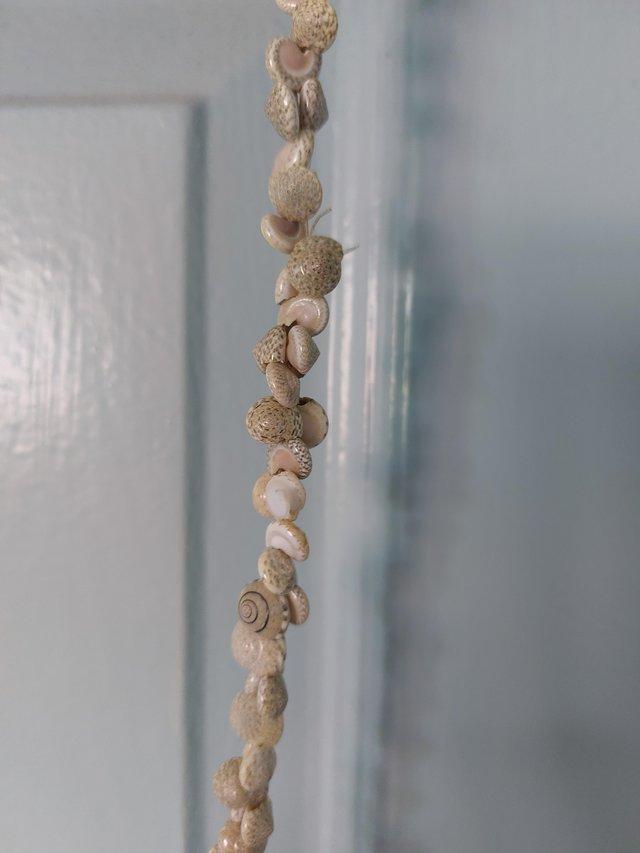 Preview of the first image of Shell necklace,  made from real shells.