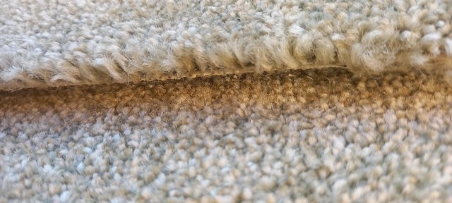 Image 2 of Carpet beige new 11ft 6" x 10ft 3" fantastic quality