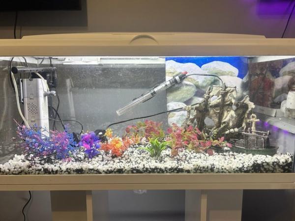 Image 2 of Fish tank comes with everything you see in photos