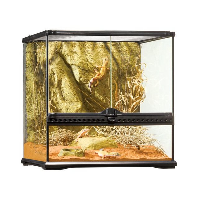 Preview of the first image of Exo terra vivarium for sale.