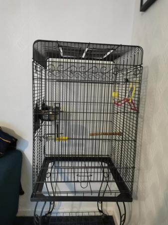 Image 5 of Large bird cage with accessories