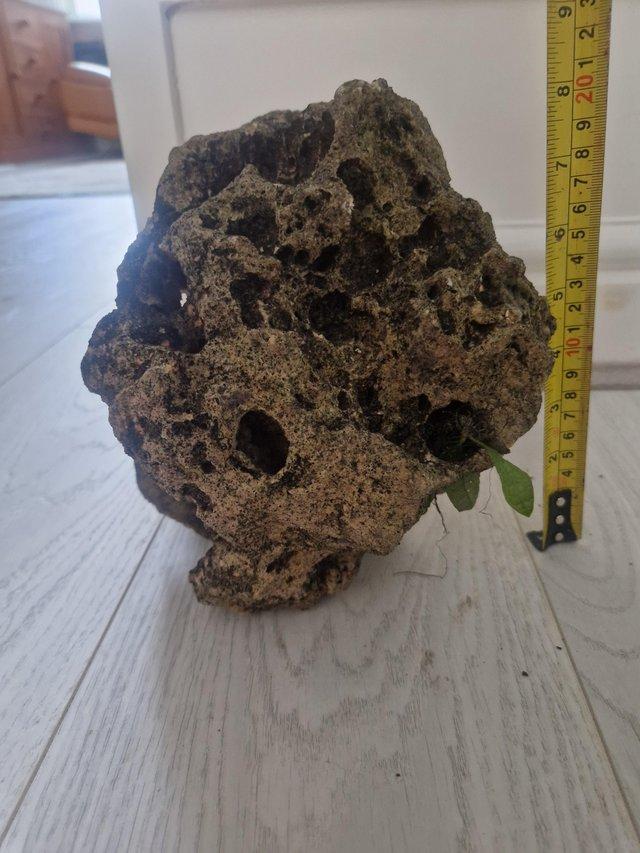 Preview of the first image of 1 piece of Aquarium Rock.