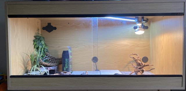Image 5 of Vivarium £300 willing to accept sensible offers