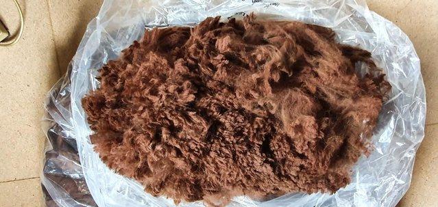 Image 3 of Alpaca fleece for sale - premium fibre from £17.50 per kg