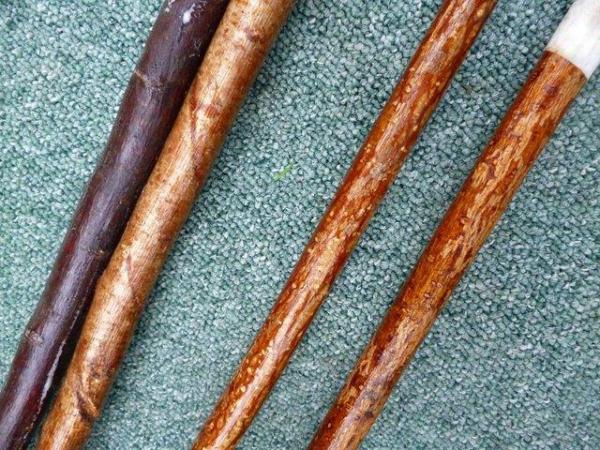 Image 9 of Show canes Handmade in various woods
