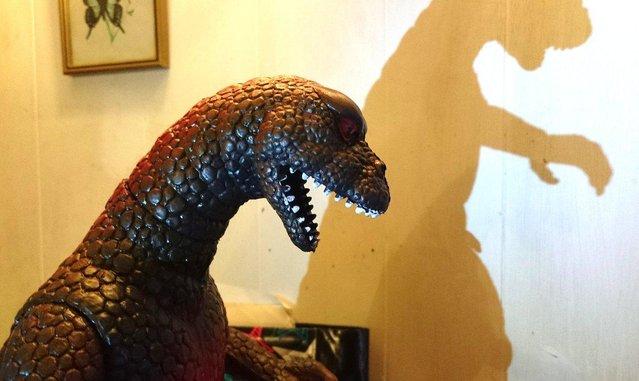 Image 11 of Godzilla Dor Mei