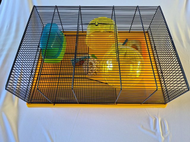 Hamster/Mouse Cage and Accessories — photo 4 of 4