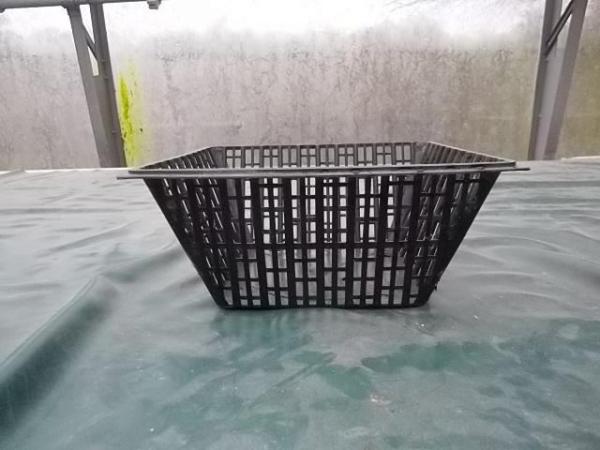 Image 2 of Medium Square Pond Planting Crates/Baskets
