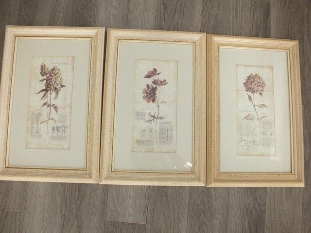 Preview of the first image of Set of Three Co - ordinating Pictures  Light Frames.