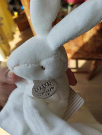Image 3 of Doudou et Compagnie Natural Rabbit and Toweling with Gift Bo