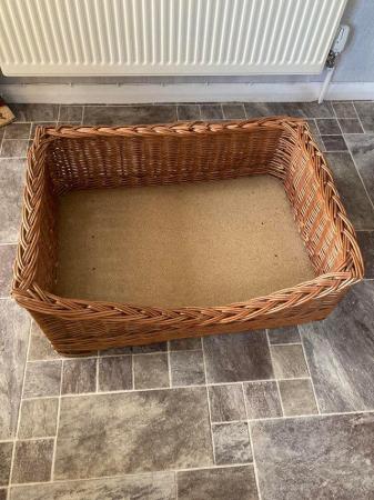 Image 3 of Wicker basket for med sized dog.