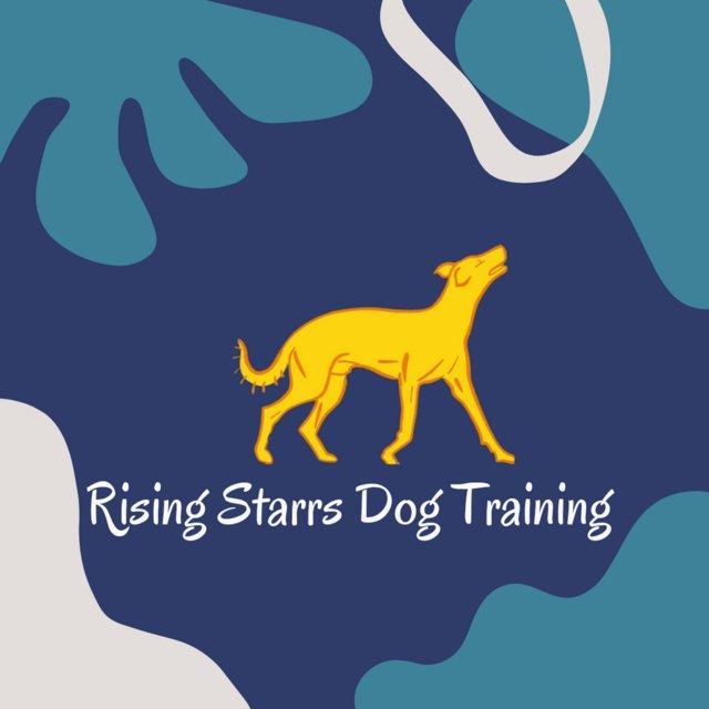 Preview of the first image of Professional Dog Training in Buckinghamshire.
