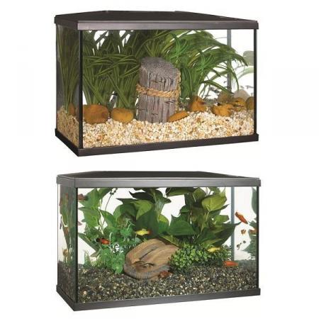 Image 2 of Fish Tanks Available At The Marp Centre