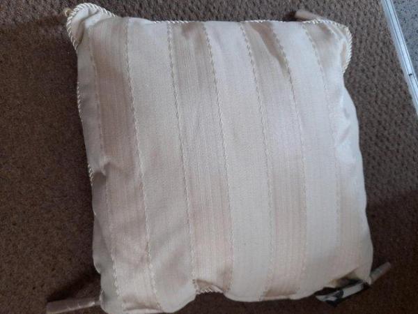 Image 2 of Statement cushions reduced £3 each