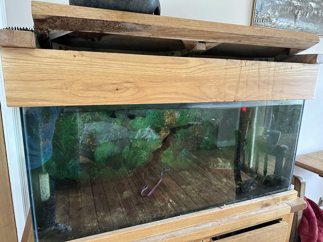 Preview of the first image of 4ft tropical tank with fish.
