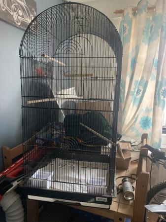 Image 3 of Large metal bird cage used but in good condition
