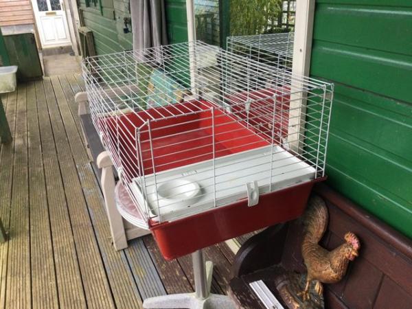 Image 2 of Guinea pig cage for sale.