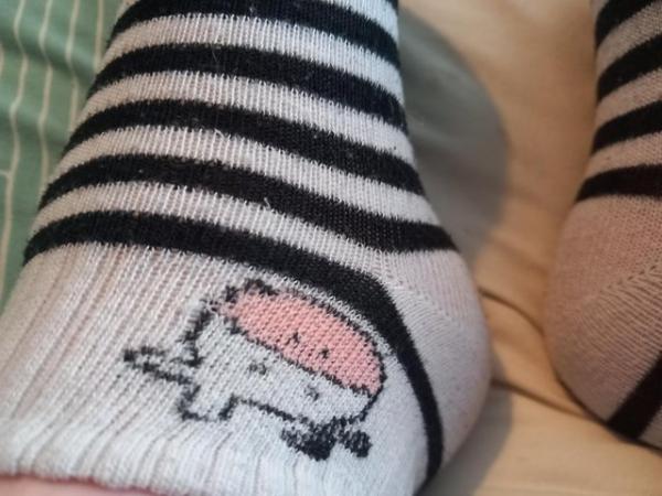 Image 1 of Ladies worn stripey cow socks