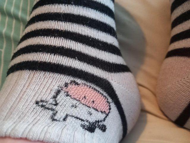 Preview of the first image of Ladies worn stripey cow socks.