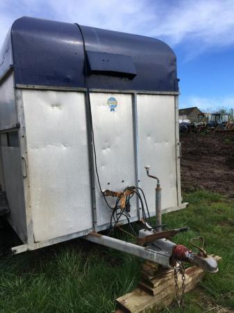 Image 8 of Twin Axle Box Trailer Storage Shed Conversion Repair Project