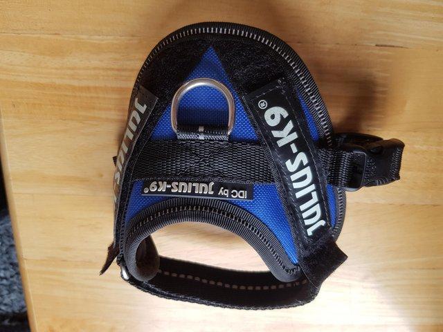 Preview of the first image of Dog harness. Julius,colour blue,.