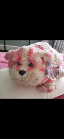 Image 1 of Bagpuss teddy for sale... an original