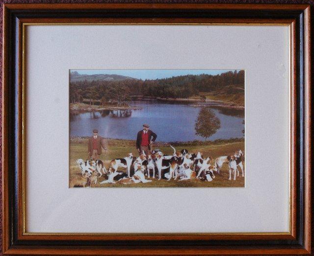 Preview of the first image of FOXHUNTING / FOX HUNTING PHOTO. CONISTON FOXHOUNDS 1950's.
