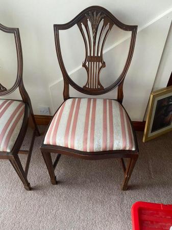 Image 3 of Gorgeous dining room chairs x 4 chairs