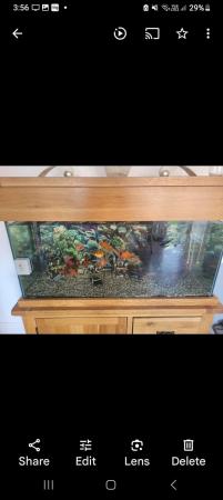 Image 4 of 200litre solid wood fish tank