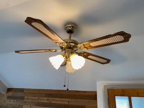 Image 3 of Brass ceiling fan/light fitting