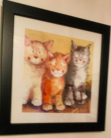 Image 2 of 2 Framed Alex Clarke prints of cats
