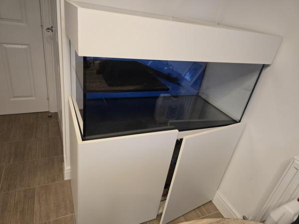 Image 6 of Terrapin/Fish Tank For Sale - Pick up Only