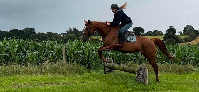 Image 8 of Stunning 6yr old 15,2hh Chestnut Mare
